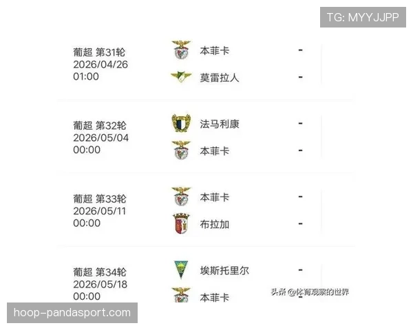 本菲卡状态平稳，联赛未出明显波动，部分主力轮换后在欧冠赛程中保持发挥